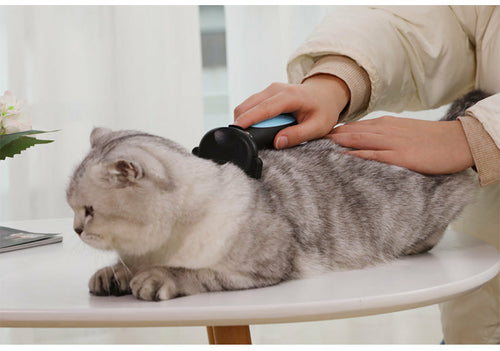 Cats Wool Pet Hair Deshedding Brush Set Comb Mavia