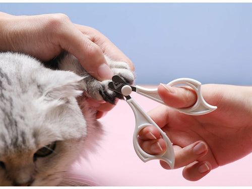 Cats Wool Pet Hair Deshedding Brush Set Comb Mavia