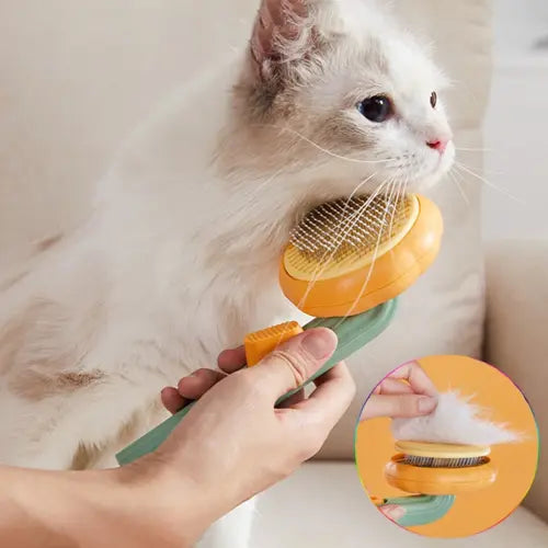 Cats Dog Grooming combs Clean Brush Cat Hair Brush mistar Wave