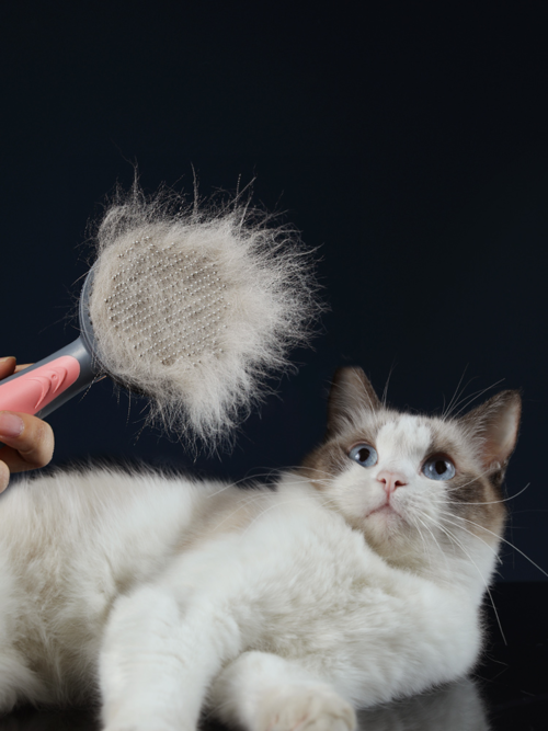 Pet Grooming Cat Comb Dog Comb Cat Hair Brush Mavia