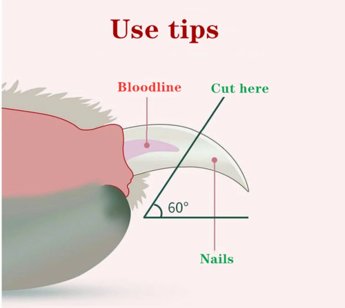 Pet Nail Scissors LED Cat Nail Clipper Trimmer Mavia