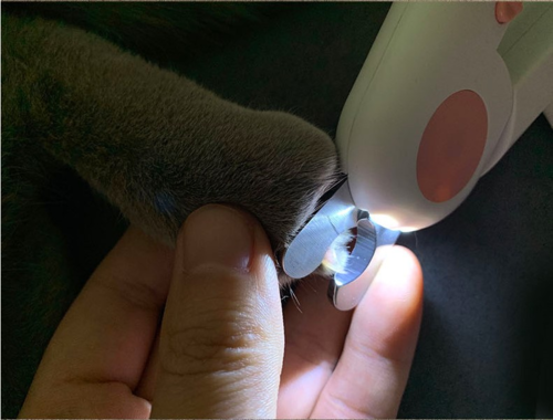 Pet Nail Scissors LED Cat Nail Clipper Trimmer Mavia